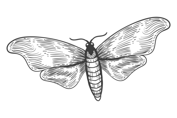 Decorative Moth Graphics for Crafters and Handmade Brands