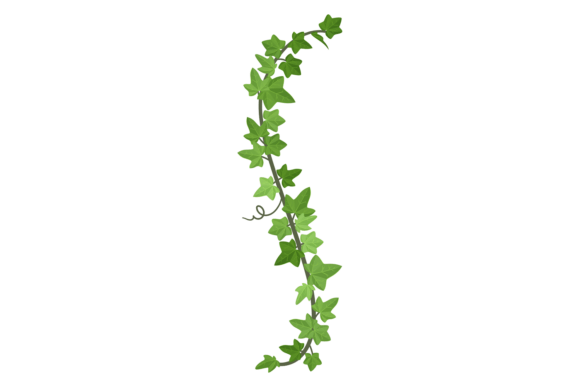 Green Creeper Embroidery Design